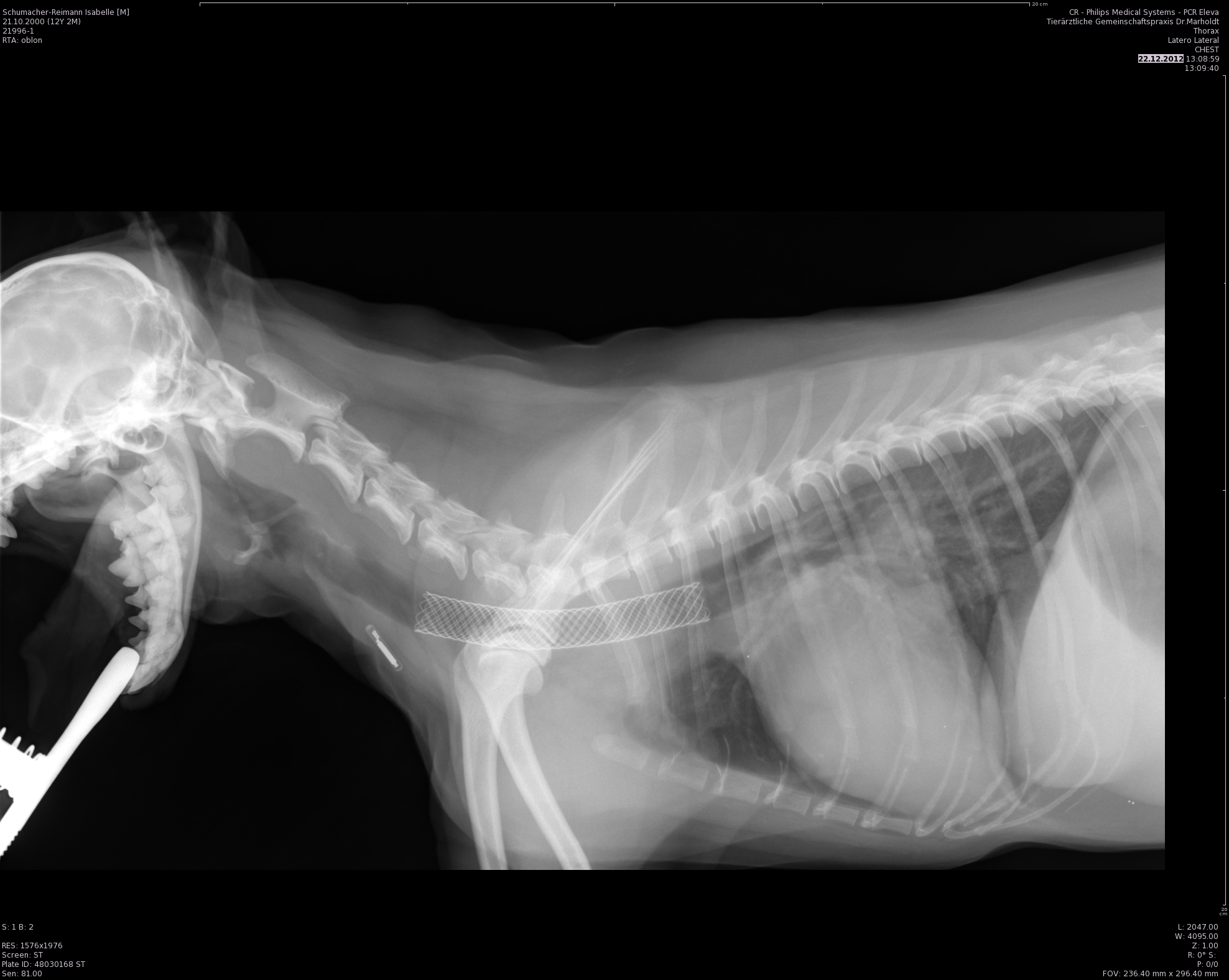 Tierklinik Wadgassen